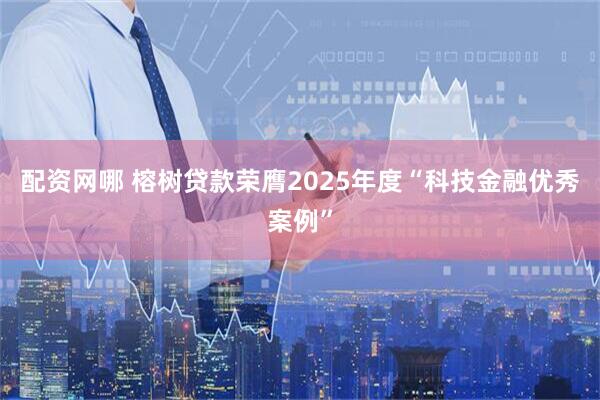 配资网哪 榕树贷款荣膺2025年度“科技金融优秀案例”