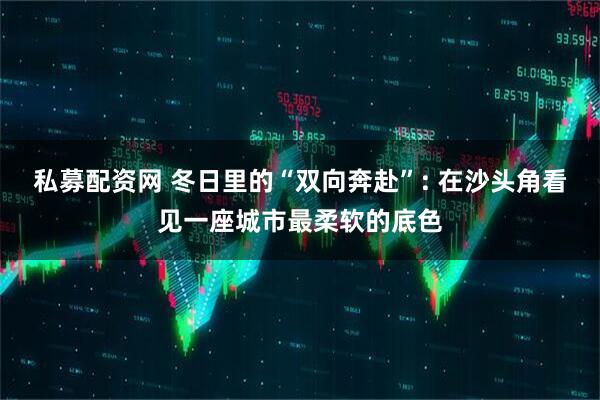 私募配资网 冬日里的“双向奔赴”: 在沙头角看见一座城市最柔软的底色