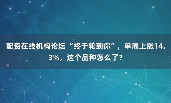 配资在线机构论坛 “终于轮到你”，单周上涨14.3%，这个品种怎么了？
